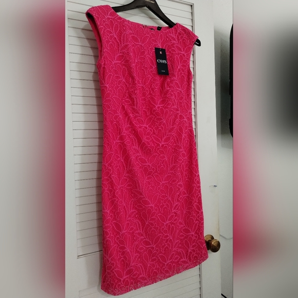 NWT Chaps by Ralph Lauren Pink  Lace, Back Zip, Cap Sleeve & Lined Sheath Dress - Picture 2 of 10